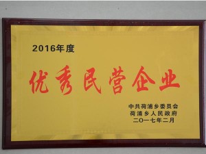 2016年度優秀民營企業