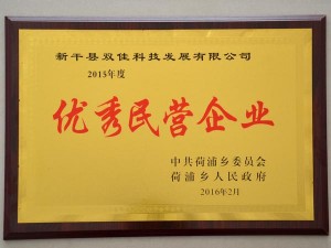 2015年度優秀民營企業