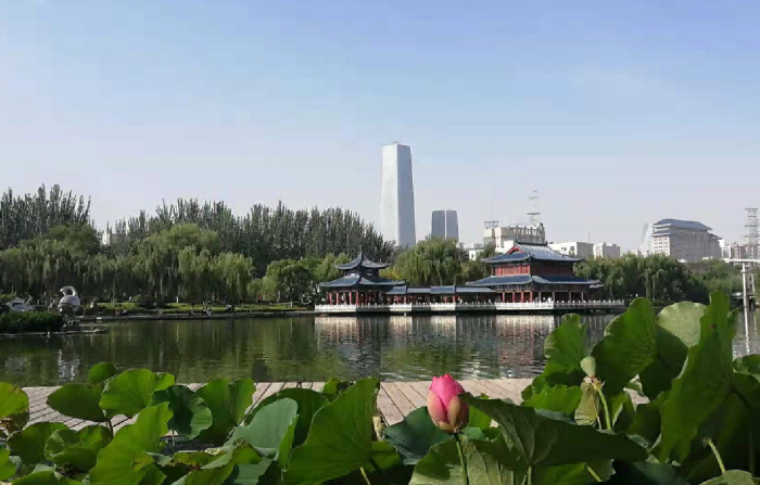 cfeaace3d8d0ec18742ca992a473a8b.png cfeaace3d8d0ec18742ca992a473a8b.png